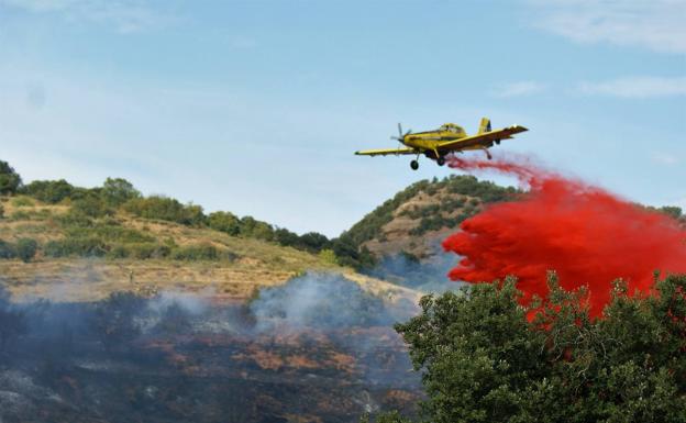 Controlado un incendio de monte bajo en Anguiano