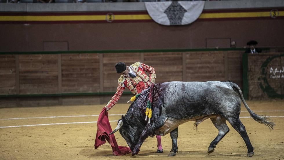 Vuelven los festejos taurinos a Arnedo