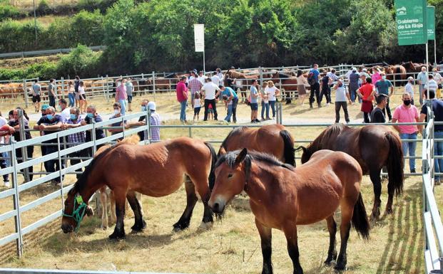 La feria de ganadería regresa a Villoslada