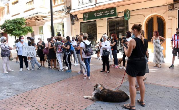 Manifestación por el perro Max