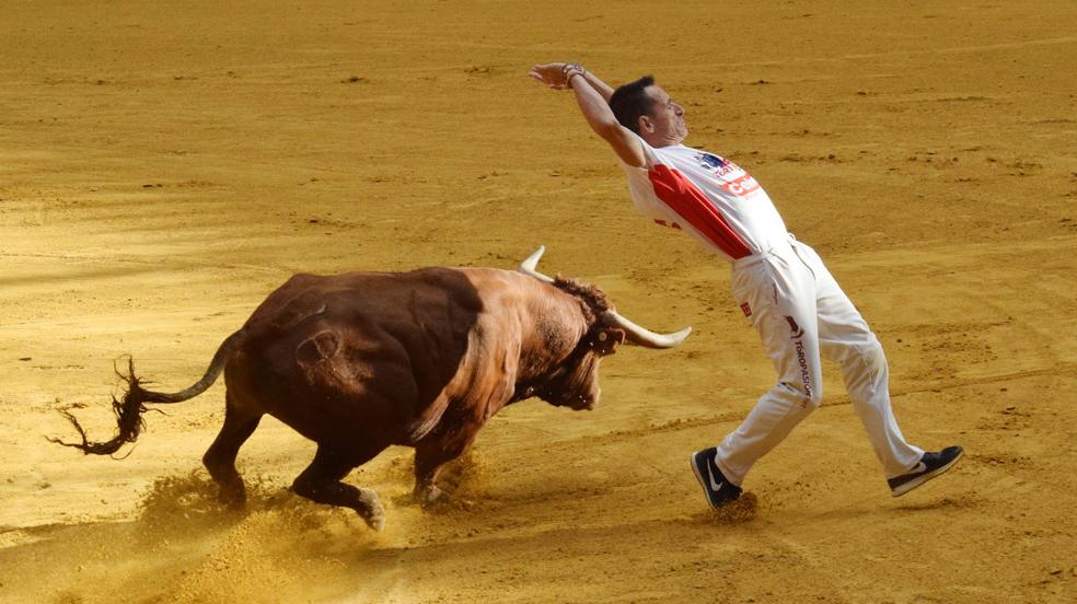 Domingo de vaquillas en La Ribera