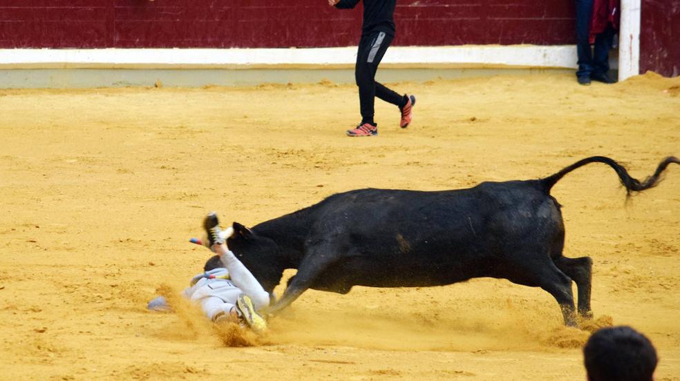 Las vaquillas del miércoles en La Ribera