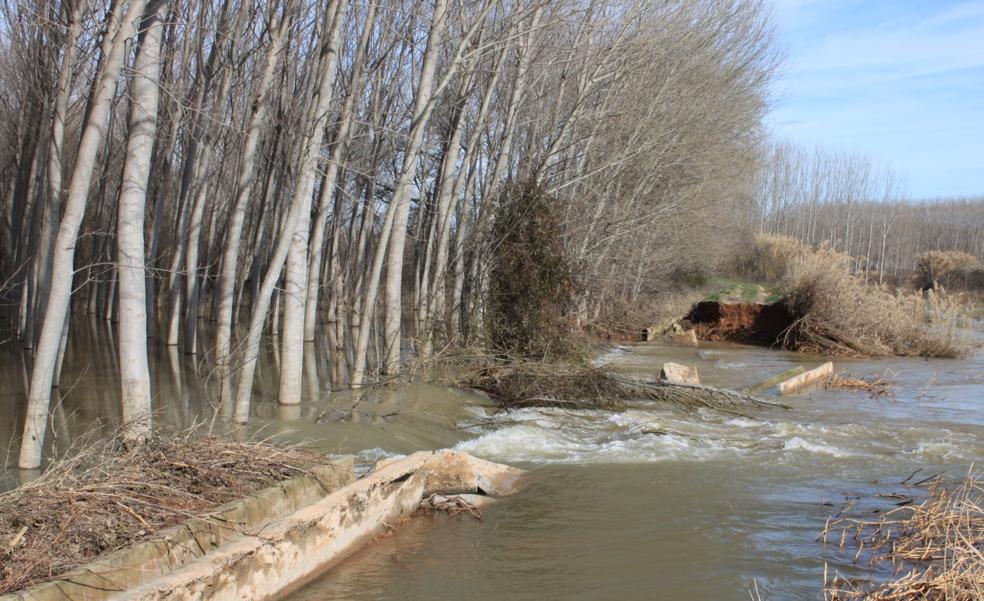 La Roza espera al Ebro Resilience