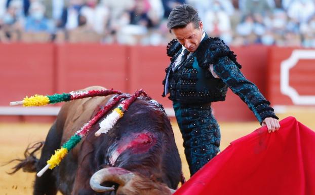 «Ha sido maravilloso poder hacer esta faena»