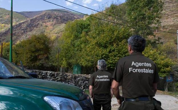 Localizados dos hombres que se habían perdido en la zona de Hoyos de Iregua recogiendo setas