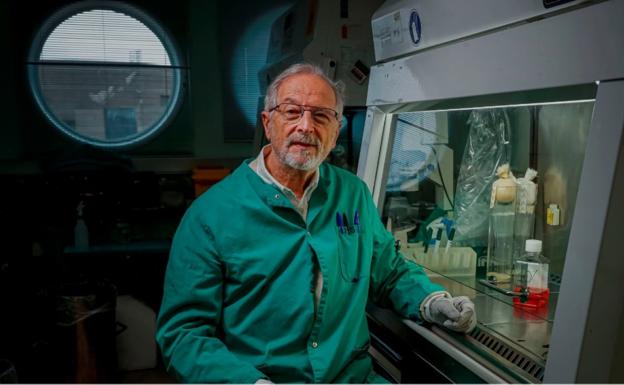 El Seminario de Lengua y Periodismo analiza los bulos científicos en tiempos de pandemia