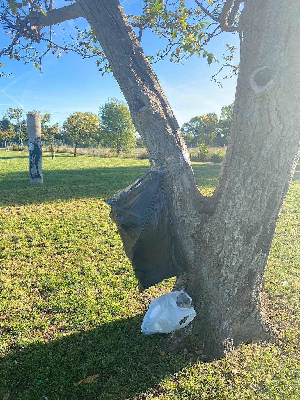Restos de las novatadas universitarias en el parque de la Ribera