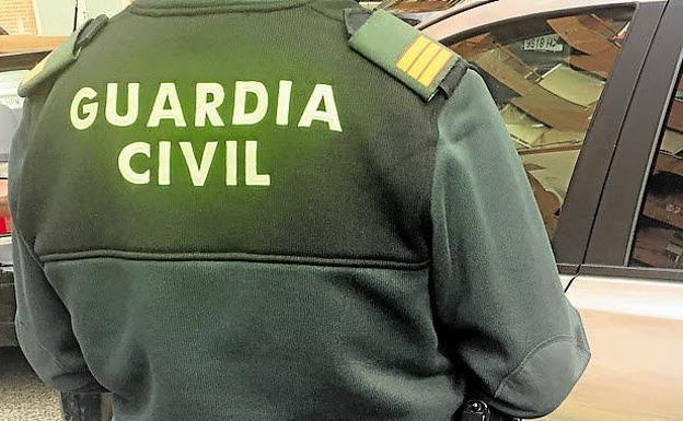 Detenidos dos miembros de una banda juvenil en Álava vinculada con un asesinato por encargo