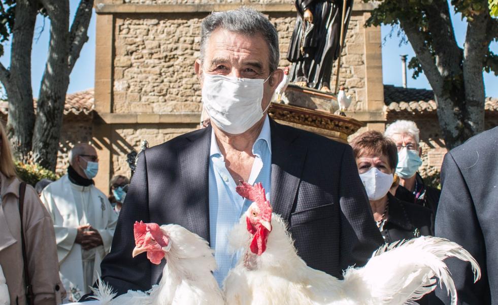 Gallo y gallina 'cantan' la normalidad en Santo Domingo