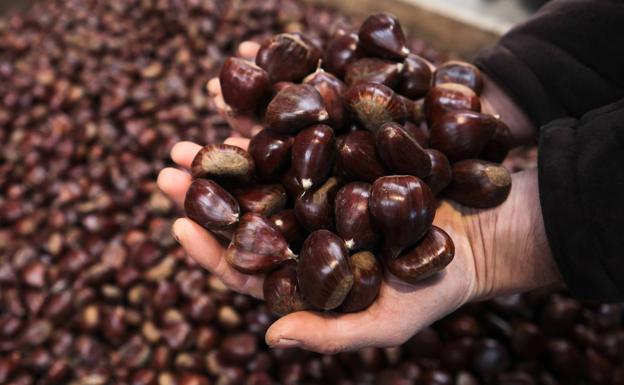 Vuelve el frío, vuelven las castañas