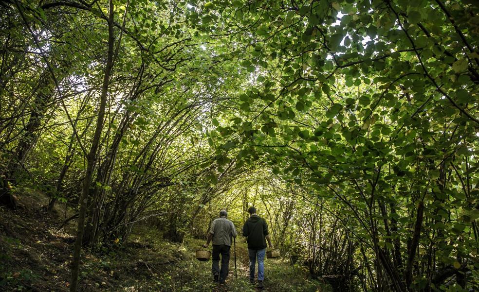 La Rioja se pone sombrero en otoño