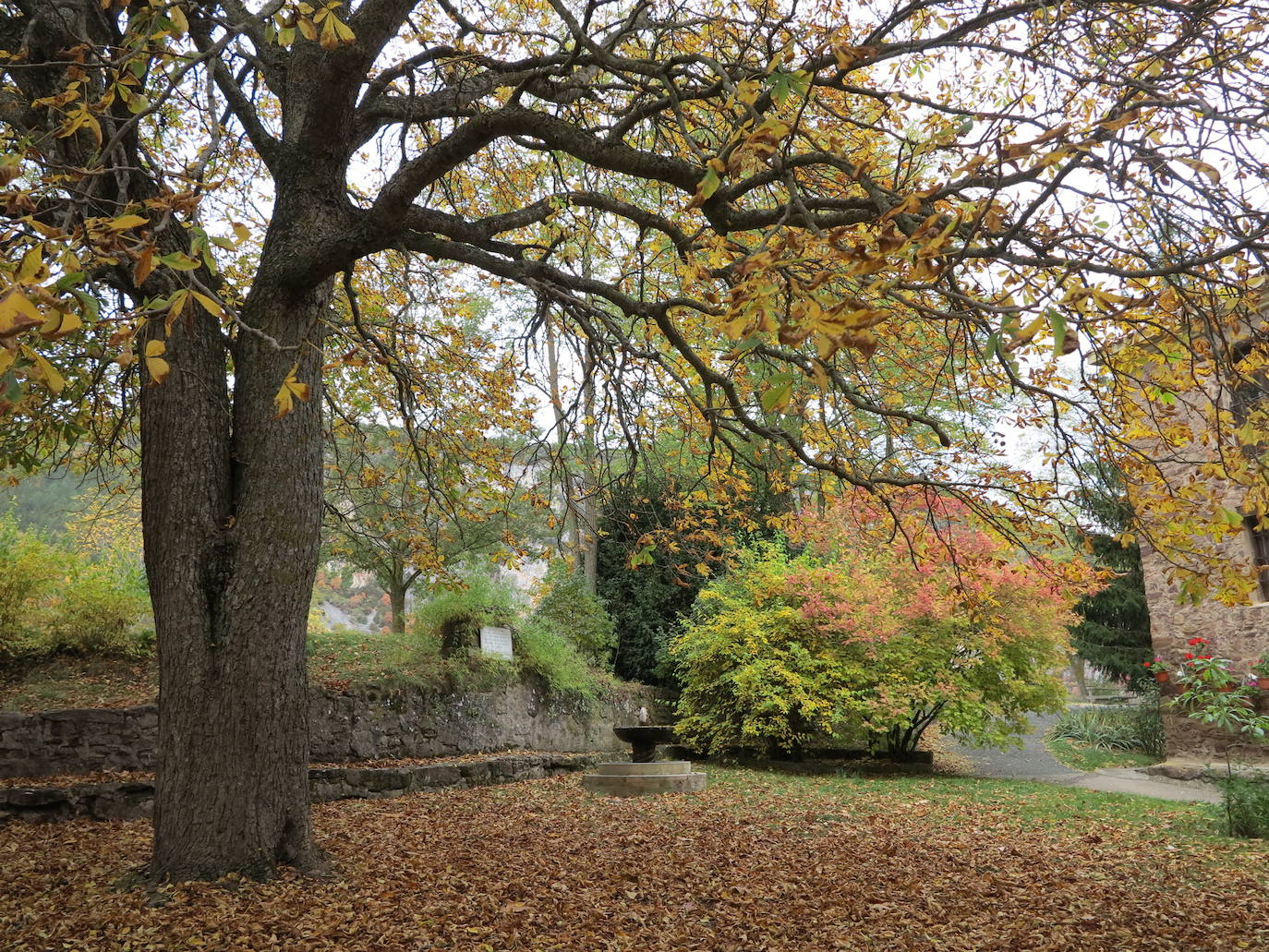 El otoño en Los Cameros