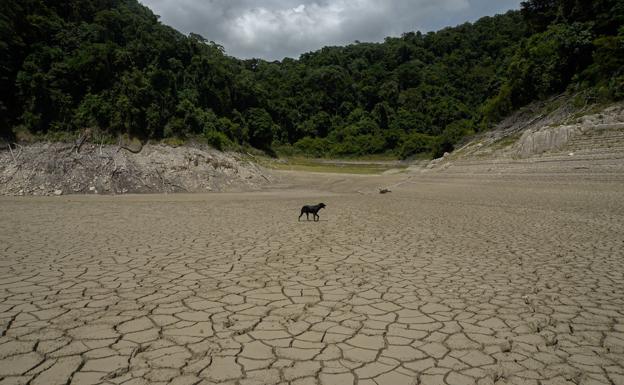 La concentración de gases de efecto invernadero alcanzó nuevo récord en 2020