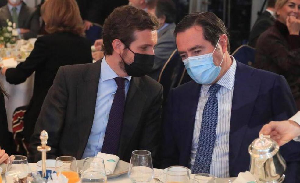 Casado compara la pugna en la coalición con una «jaula de grillos»