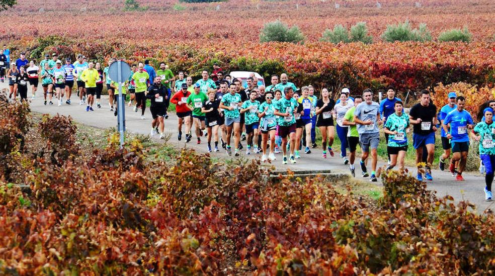 Más de 800 participantes en la Carrera Entre Viñedos