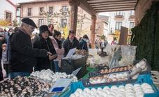 Las jornadas micológicas de Ezcaray, en imágenes