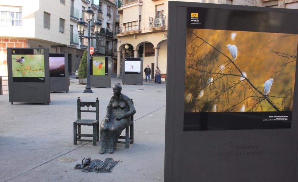 Exposición fotográfica en la plaza de Arnedo