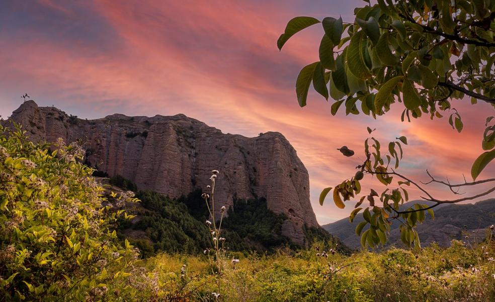 Productos que también crean paisaje