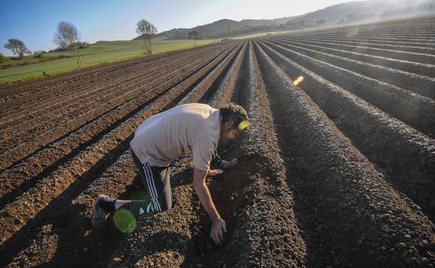 La Eurocámara da luz verde a una PAC «ecológica y transparente»