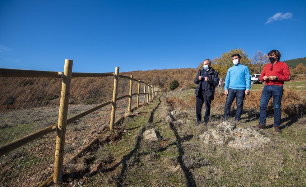 Cercados 60.300 metros cuadrados de pasto para proteger al ganado del lobo