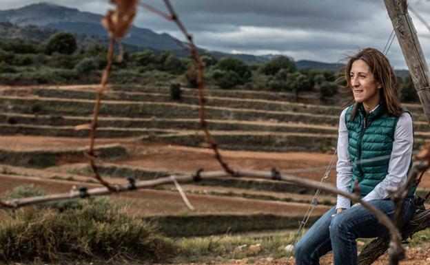 Los vinos que contaba mi padre