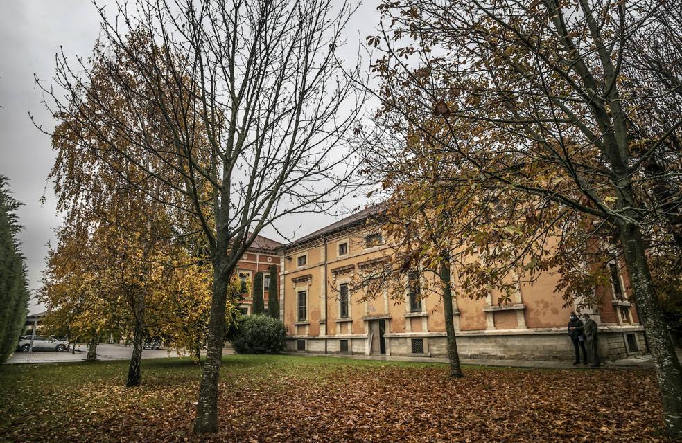 Tres cuerpos, dos miradas, una voz