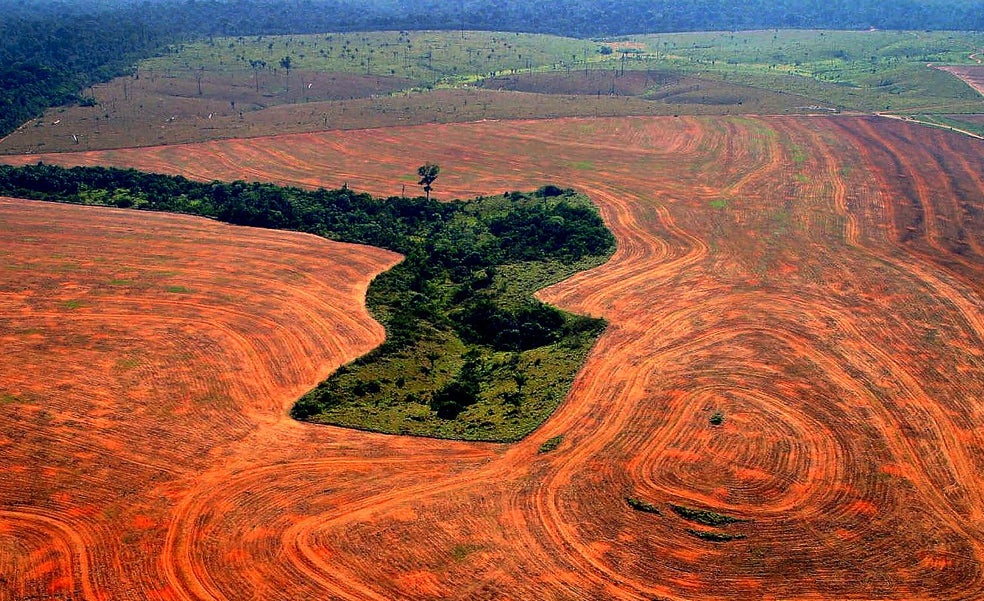 El biocombustible, en el punto de mira del activismo climático