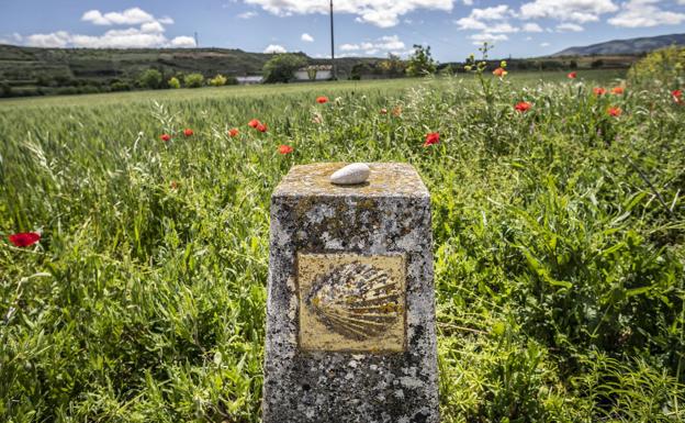 El Camino de Santiago en La Rioja, declarado 'Itinerario Verde'