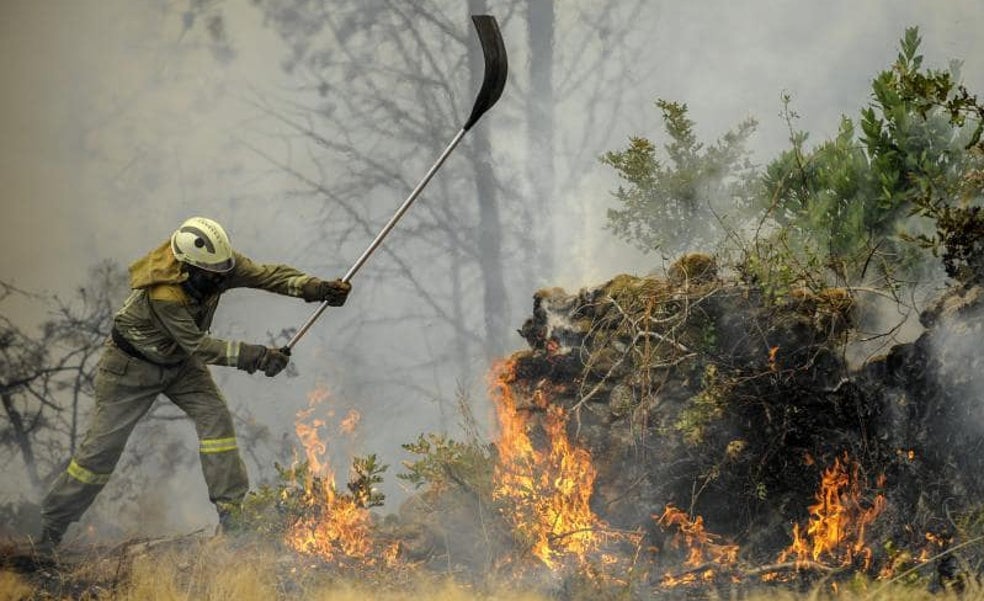 Atentar contra el medio ambiente costará más caro