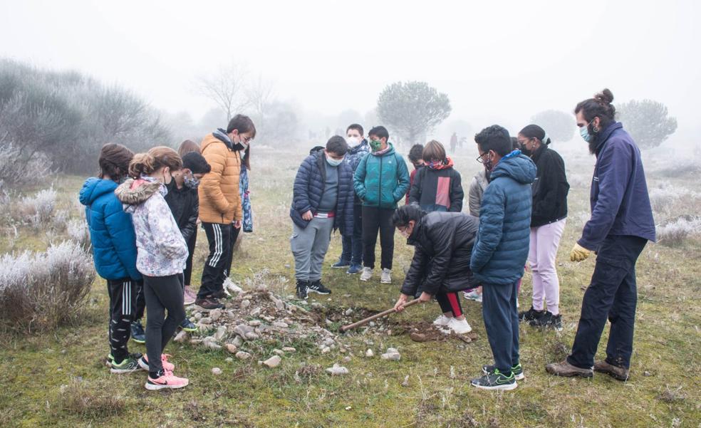 El bosque de los árboles con nombre empieza a crecer en las riberas del Oja