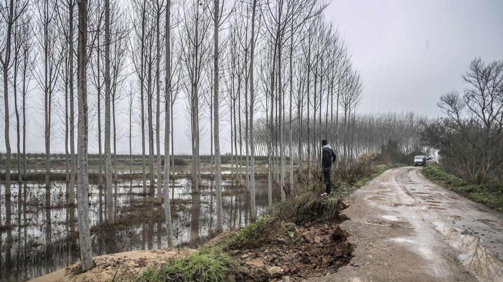 Así está el cauce del Ebro tras las inundaciones