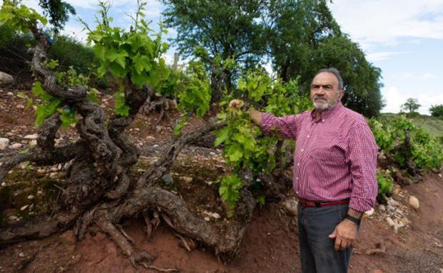 «El agricultor es como un boxeador: recibe los golpes pero sigue en pie»