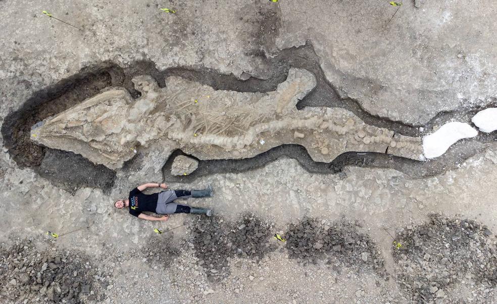 Una casa para un dragón marino