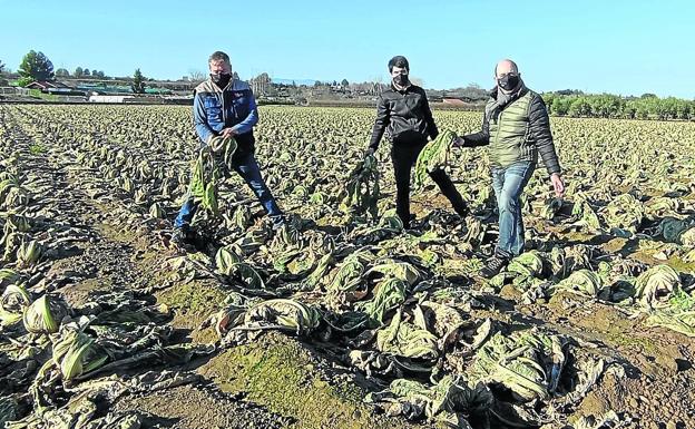 Un mes después de la crecida, el campo lamenta la «inacción» de la Administración