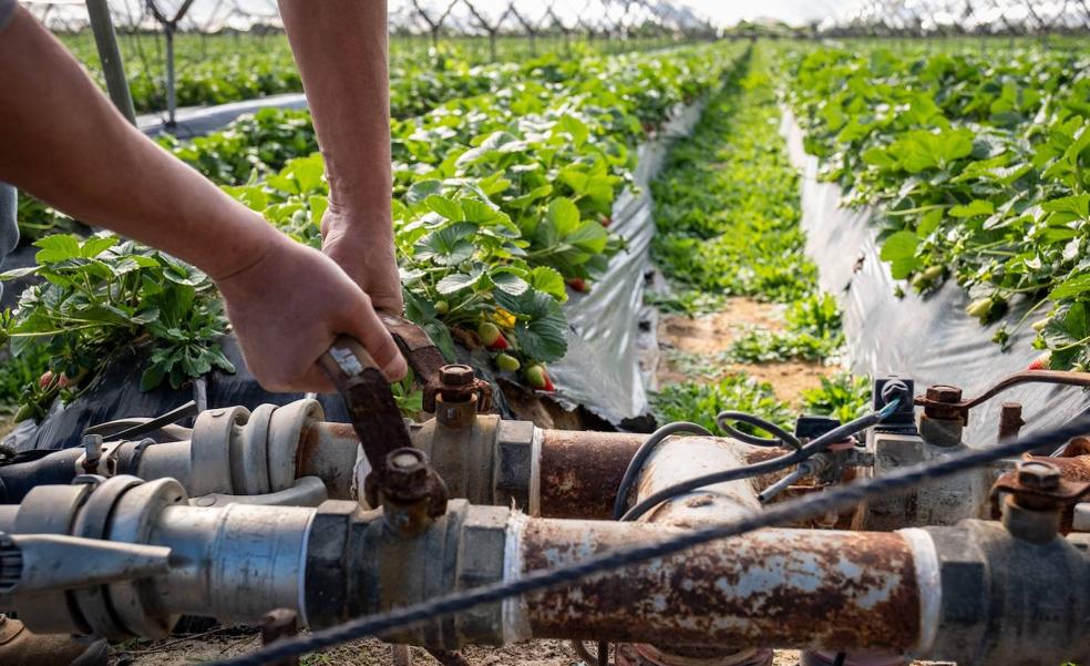 La Rioja recibirá 11 millones de Europa para la modernización de regadíos