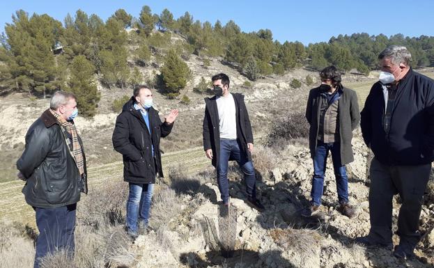 Concluye un proyecto de reforestación en Cuzcurrita con 44.165 árboles