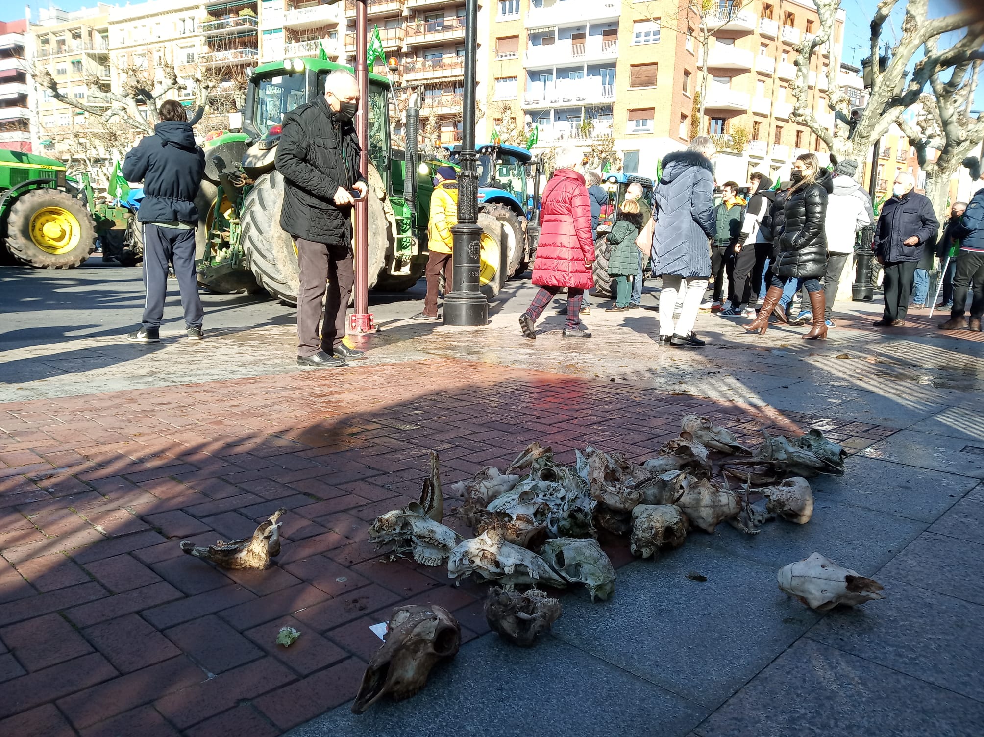 Animales muertos en las vallas del Palacio de Gobierno