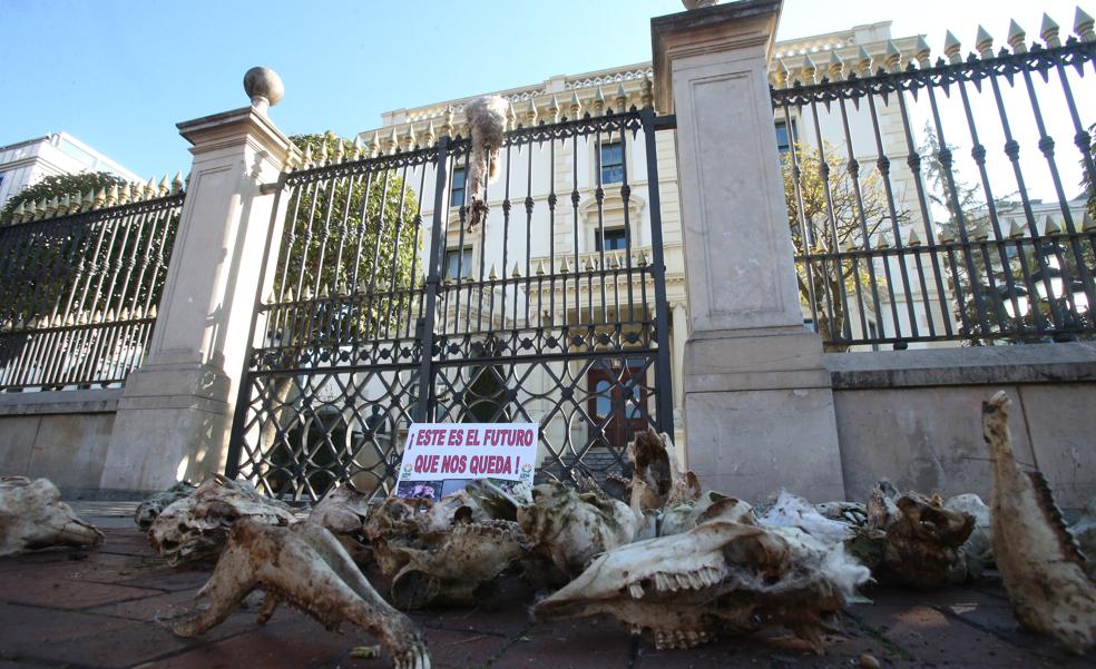 Lobos antes que ganaderos