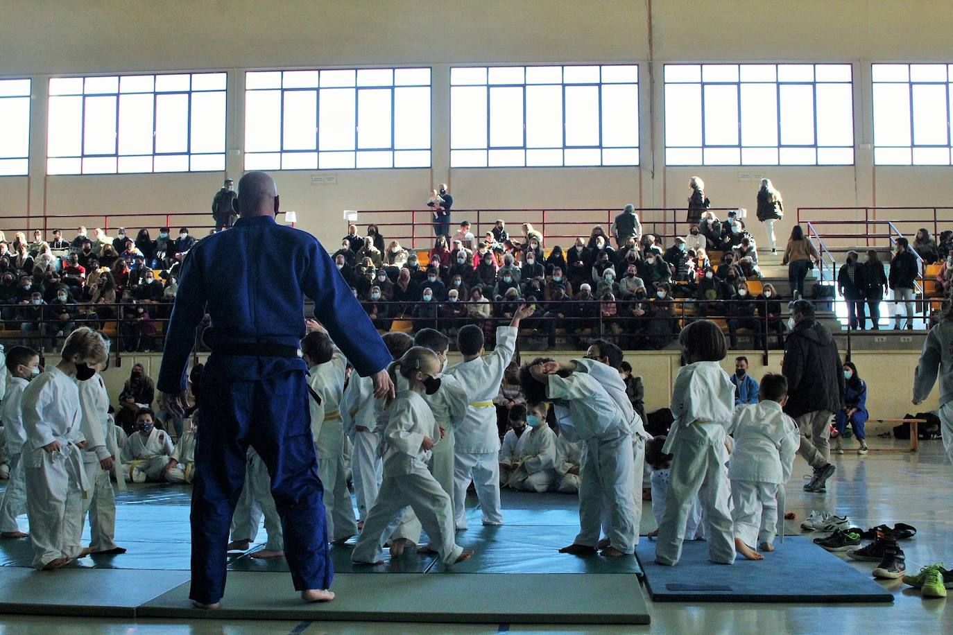 Exhibición solidaria de judo en Lardero