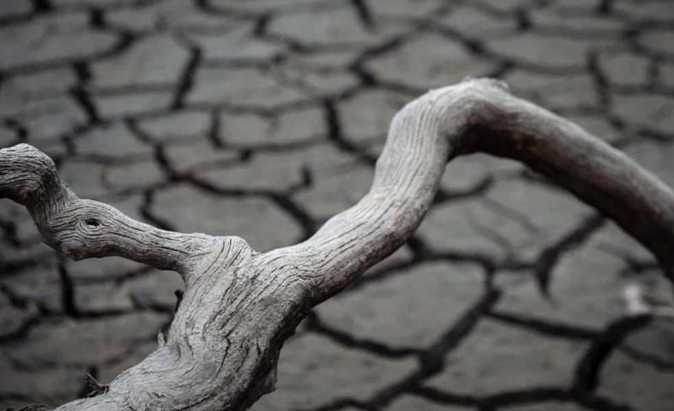 El cambio climático mató a 16.181 españoles en los últimos 40 años