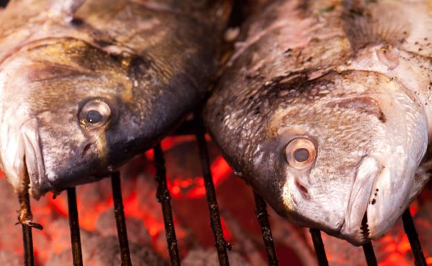 Dorada para todo el año