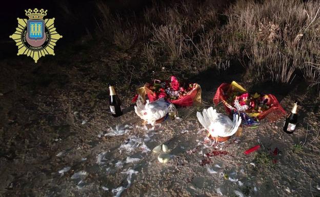 La Policía Local de Logroño encuentra animales mutilados en un ritual de santería en la zona de Valdegastea