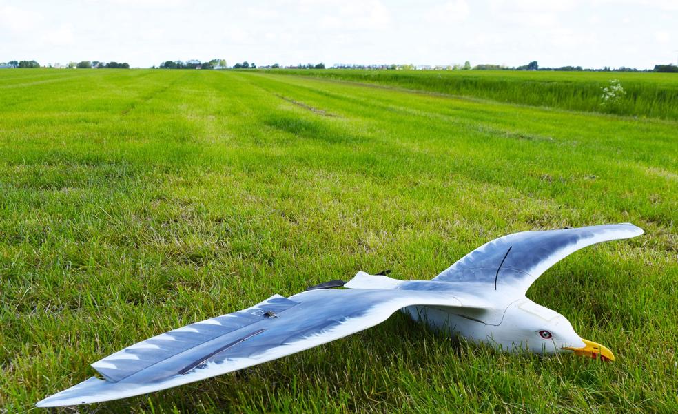 'Pájaros espías' de la Guardia Civil patrullarán el cielo contra el crimen organizado