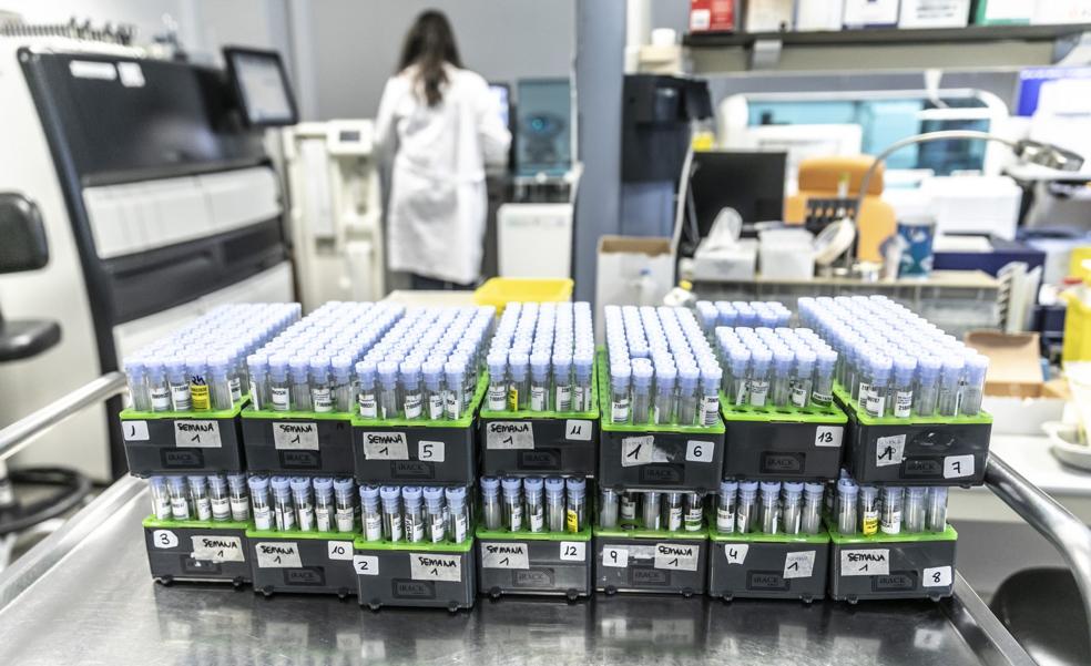 «La PCR detecta material genético mediante biología molecular»