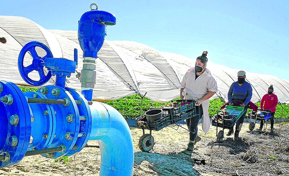 El agua incendia Doñana