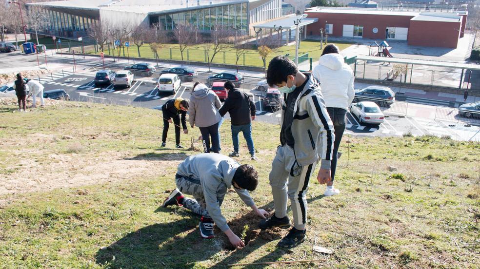 Los alumnos del IES Ciudad de Haro plantan árboles en el cerro de Santa Lucía