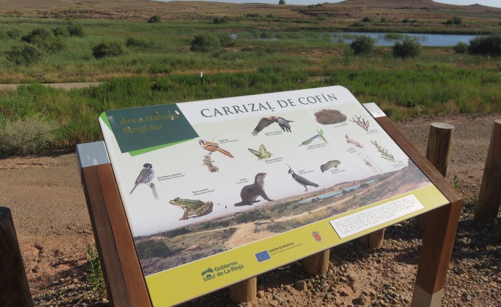 Amigos de la Tierra pide incluir todo el humedal del Cofín en la Red Natura 2000