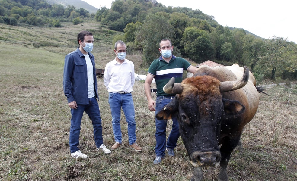 Alberto Garzón: «El modelo de producción de carne actual es insostenible»