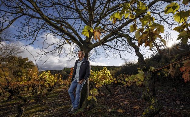 Agotadas las plazas para la cata de Sonsierra que abre el jueves día 3 la temporada con sus viñedos singulares