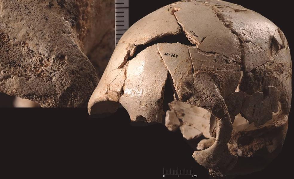 Accidentes y violencia: Un estudio presenta el análisis forense de los cráneos de la Sima de los Huesos de Atapuerca